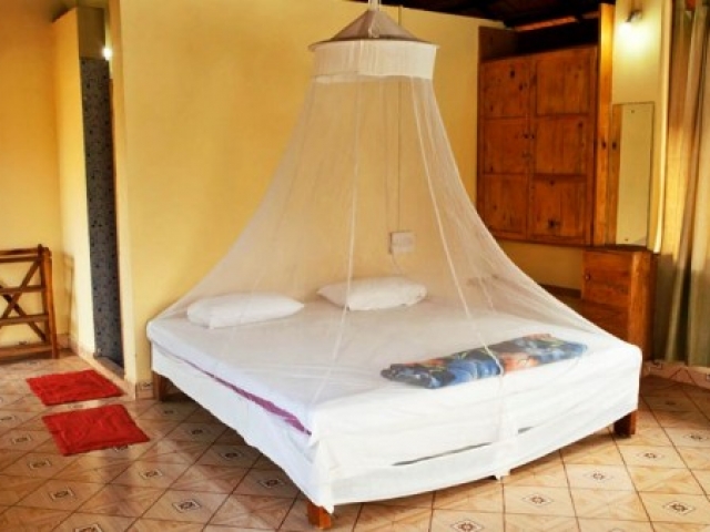 Mahi Yoga Accommodation in Goa Mahi Yoga Accommodation in Goa, Arambol beach