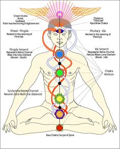 Masculine and Feminine System