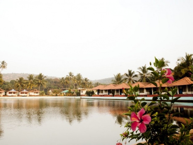 Mahi Yoga Accommodation in Goa Mahi Yoga Accommodation in Goa, Arambol beach